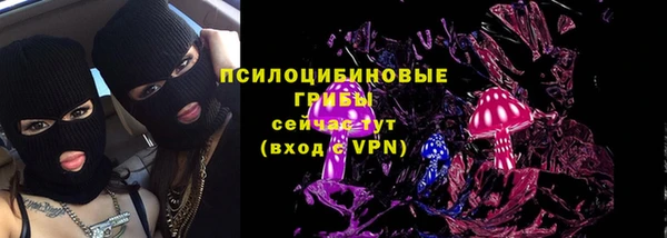 apvp Магадан