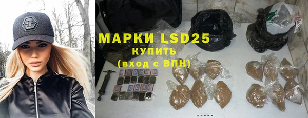 ПСИЛОЦИБИНОВЫЕ ГРИБЫ Магас
