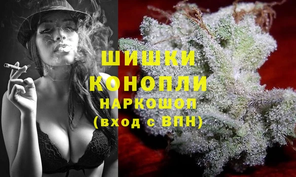 ПСИЛОЦИБИНОВЫЕ ГРИБЫ Магас